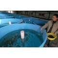 Bể nuôi trồng thủy sản composite - Công Ty TNHH Sản Xuất Xây Dựng Và Thương Mại Quốc Tế Tashin